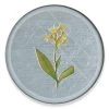 Scully & Scully Garden Lily Round Glass Coasters -Tabletop Shop unnamed file 2051