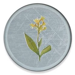 Scully & Scully Garden Lily Round Glass Coasters