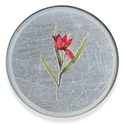 Scully & Scully Garden Lily Round Glass Coasters -Tabletop Shop unnamed file 2055