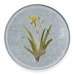 Scully & Scully Garden Lily Round Glass Coasters -Tabletop Shop unnamed file 2059