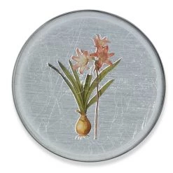 Scully & Scully Garden Lily Round Glass Coasters -Tabletop Shop unnamed file 2061
