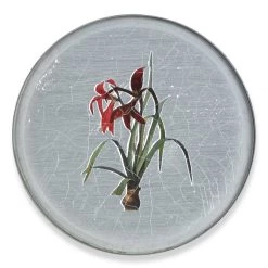 Scully & Scully Garden Lily Round Glass Coasters -Tabletop Shop unnamed file 2062