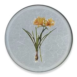 Scully & Scully Garden Lily Round Glass Coasters -Tabletop Shop unnamed file 2063