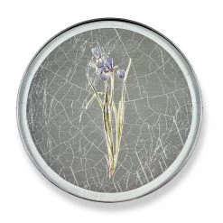 Scully & Scully Iris Round Glass Coasters -Tabletop Shop unnamed file 2082