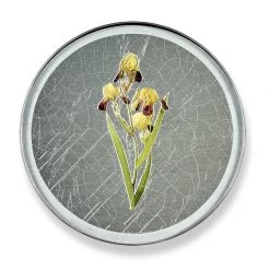 Scully & Scully Iris Round Glass Coasters -Tabletop Shop unnamed file 2084