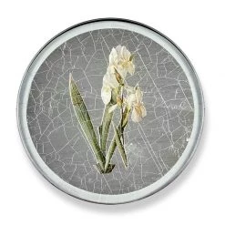 Scully & Scully Iris Round Glass Coasters -Tabletop Shop unnamed file 2086