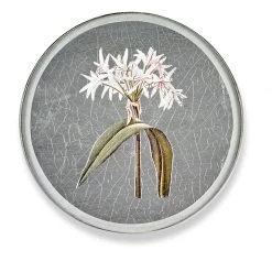 Queen Lace Crystal Highball, Racehorses -Tabletop Shop unnamed file 2093