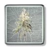 Scully & Scully White Flower Square Glass Coasters -Tabletop Shop unnamed file 2102