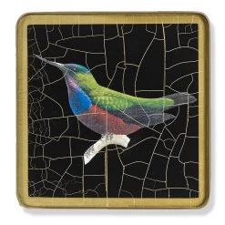 Scully & Scully Tropical Songbirds Glass Coasters