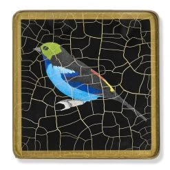Scully & Scully Tropical Songbirds Glass Coasters -Tabletop Shop unnamed file 2136