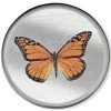 Scully & Scully Butterfly Silver Round Glass Coasters -Tabletop Shop unnamed file 2149