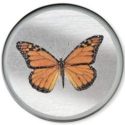 Scully & Scully Butterfly Silver Round Glass Coasters
