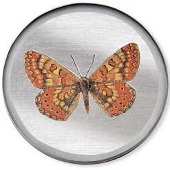 Scully & Scully Butterfly Silver Round Glass Coasters -Tabletop Shop unnamed file 2152