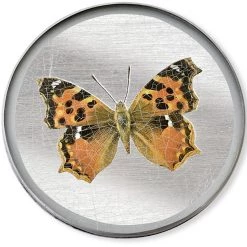 Scully & Scully Butterfly Silver Round Glass Coasters -Tabletop Shop unnamed file 2153