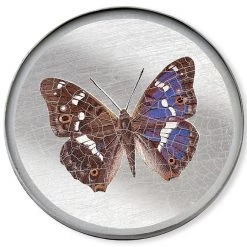 Scully & Scully Butterfly Silver Round Glass Coasters -Tabletop Shop unnamed file 2154
