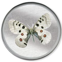 Scully & Scully Butterfly Silver Round Glass Coasters -Tabletop Shop unnamed file 2155