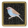 Scully & Scully Songbirds Square Glass Coasters 2 Scully & Scully Songbirds Square Glass Coasters -Tabletop Shop unnamed file 2177