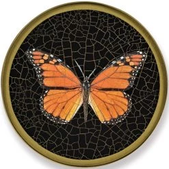 Scully & Scully Butterfly Black Round Glass Coasters