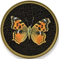 Scully & Scully Butterfly Black Round Glass Coasters -Tabletop Shop unnamed file 2190