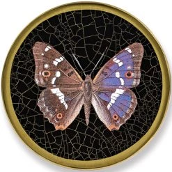 Scully & Scully Butterfly Black Round Glass Coasters -Tabletop Shop unnamed file 2192