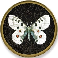 Scully & Scully Butterfly Black Round Glass Coasters -Tabletop Shop unnamed file 2194