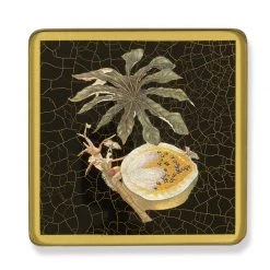 Scully & Scully Insects & Fruits Square Glass Coasters