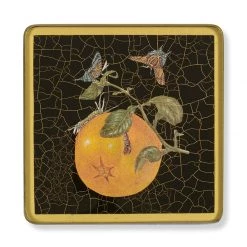 Scully & Scully Insects & Fruits Square Glass Coasters -Tabletop Shop unnamed file 2222