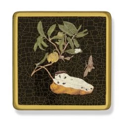 Scully & Scully Insects & Fruits Square Glass Coasters -Tabletop Shop unnamed file 2223
