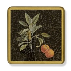 Scully & Scully Fruits Square Glass Coasters -Tabletop Shop unnamed file 2230