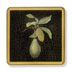 Scully & Scully Fruits Square Glass Coasters -Tabletop Shop unnamed file 2235
