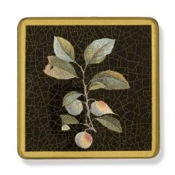 Scully & Scully Fruits Square Glass Coasters -Tabletop Shop unnamed file 2238