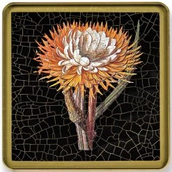 Scully & Scully Exotic Flowers Square Glass Coasters -Tabletop Shop unnamed file 2256