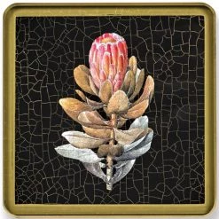 Scully & Scully Exotic Flowers Square Glass Coasters -Tabletop Shop unnamed file 2258
