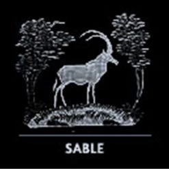 Queen Lace Crystal Highball, African Wildlife -Tabletop Shop unnamed file 2259