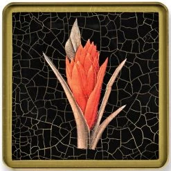 Scully & Scully Exotic Flowers Square Glass Coasters -Tabletop Shop unnamed file 2260