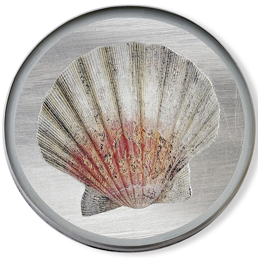 Scully & Scully Silver Seashell Round Glass Coasters 3 Scully & Scully Silver Seashell Round Glass Coasters