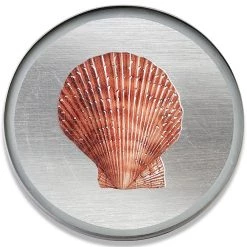 Scully & Scully Silver Seashell Round Glass Coasters 12 Scully & Scully Silver Seashell Round Glass Coasters -Tabletop Shop unnamed file 2349