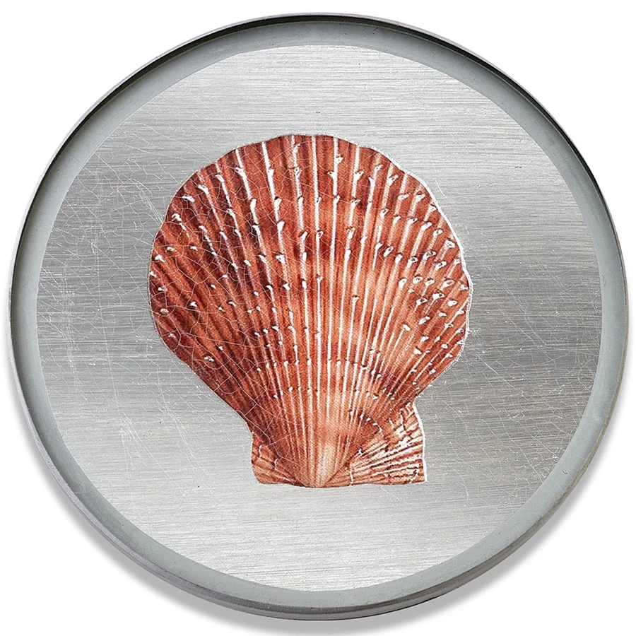 Scully & Scully Silver Seashell Round Glass Coasters 5 Scully & Scully Silver Seashell Round Glass Coasters - Image 3