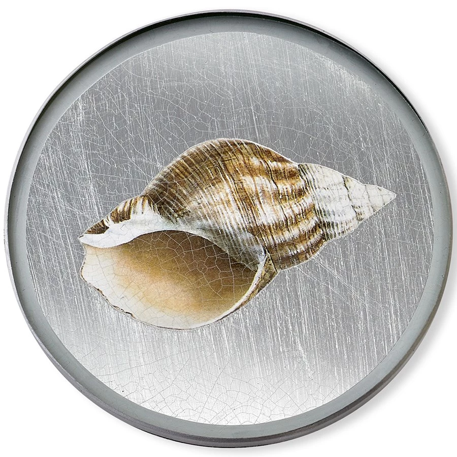 Scully & Scully Silver Seashell Round Glass Coasters 6 Scully & Scully Silver Seashell Round Glass Coasters - Image 4