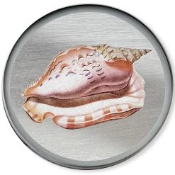 Scully & Scully Silver Seashell Round Glass Coasters 14 Scully & Scully Silver Seashell Round Glass Coasters -Tabletop Shop unnamed file 2352