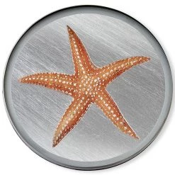 Scully & Scully Silver Seashell Round Glass Coasters 15 Scully & Scully Silver Seashell Round Glass Coasters -Tabletop Shop unnamed file 2353