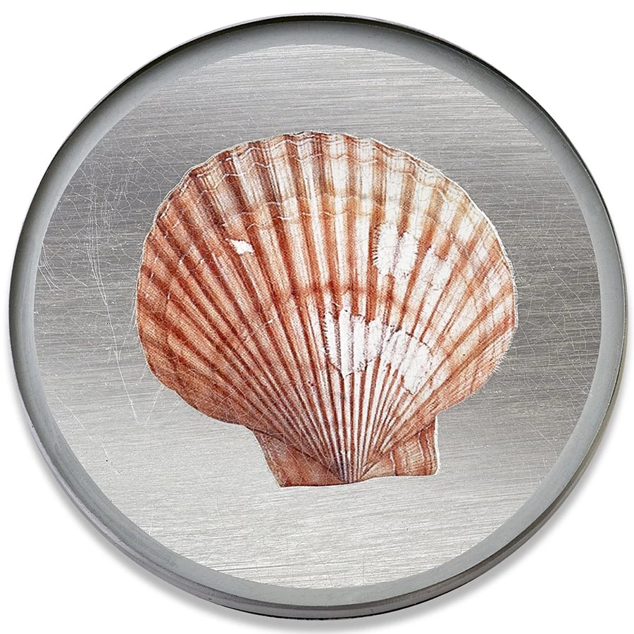 Scully & Scully Silver Seashell Round Glass Coasters 9 Scully & Scully Silver Seashell Round Glass Coasters - Image 7