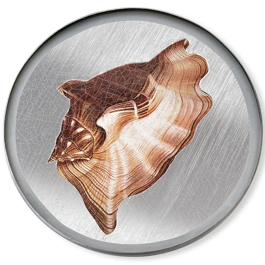Scully & Scully Silver Seashell Round Glass Coasters 10 Scully & Scully Silver Seashell Round Glass Coasters - Image 8