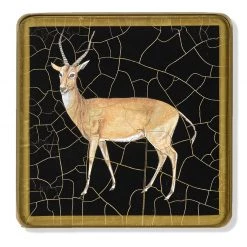 Scully & Scully Safari Animal Square Glass Coasters -Tabletop Shop unnamed file 2363