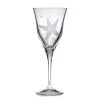 Varga Water Glasses, Clear Pacifica 2 Varga Water Glasses, Clear Pacifica -Tabletop Shop unnamed file 2731