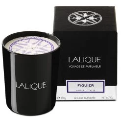 Lalique Fig Tree Scented Candle