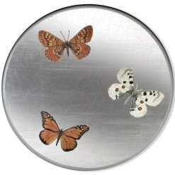Scully & Scully Butterfly Silver Round Glass Placemats -Tabletop Shop unnamed file 3264
