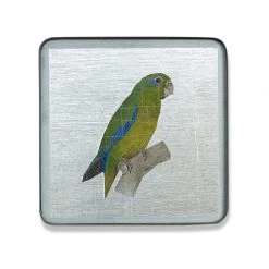 Scully & Scully Jungle Birds Placemats & Coasters -Tabletop Shop unnamed file 3359