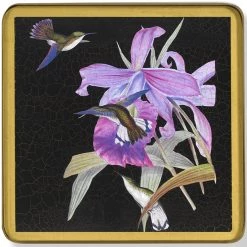 Scully & Scully Black Hummingbird Glass Coasters -Tabletop Shop unnamed file 3440