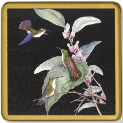 Scully & Scully Black Hummingbird Glass Coasters -Tabletop Shop unnamed file 3441